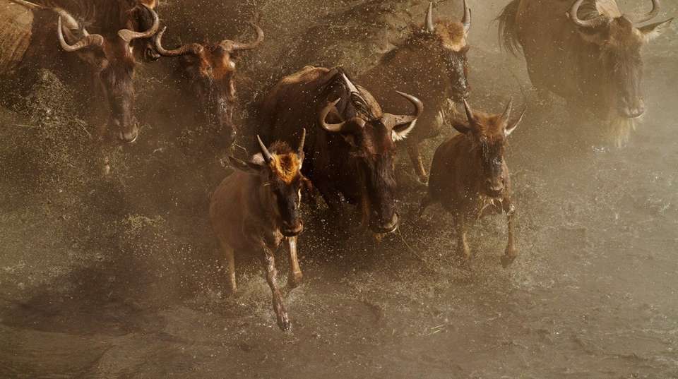 Exploring The  North Tanzania  | 6 Days  - Expect In Africa Safari - Tanzania - Image 3