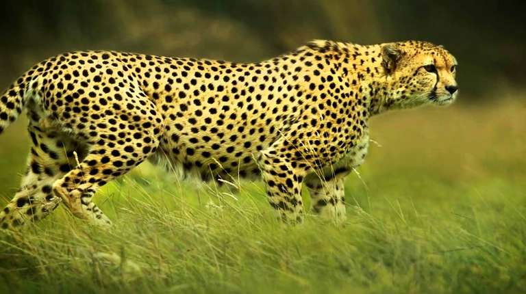 6 Days Treasure and Leisure trip - alternative tour available