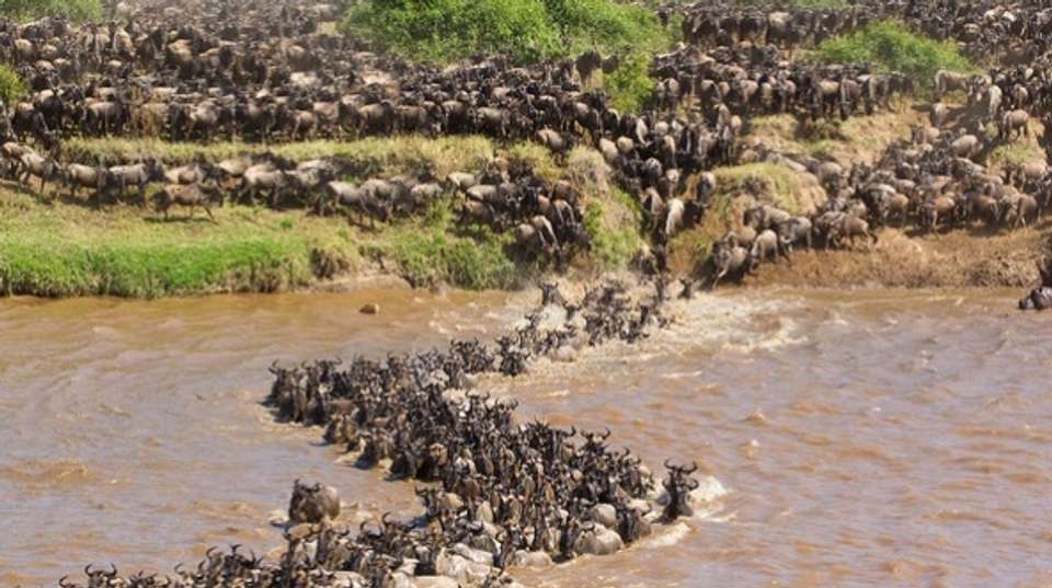 6 Days Treasure and Leisure - Hope Adventures Safaris - Tanzania - Image 3