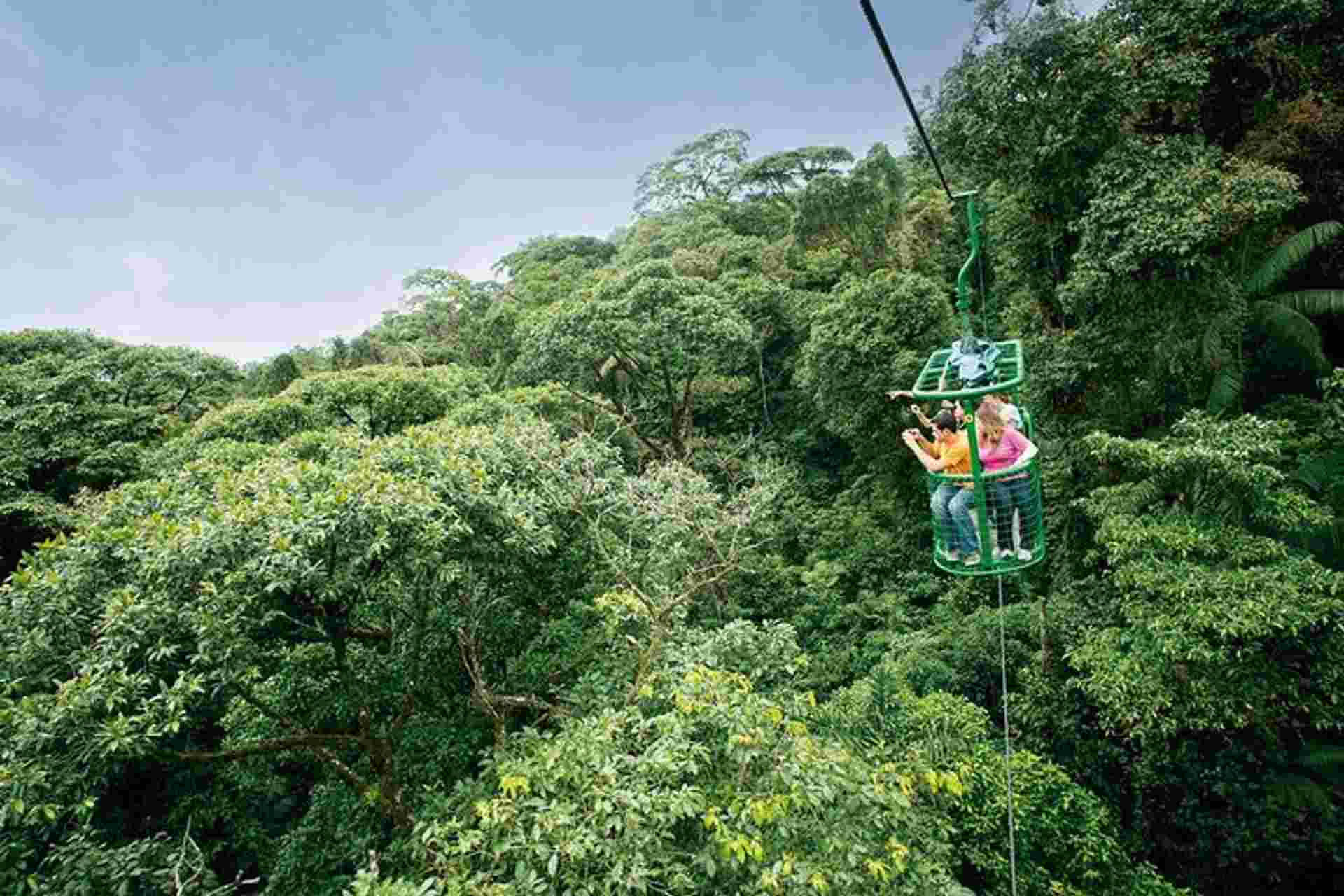 6 In 1 Rainforest Adventure From San Jose