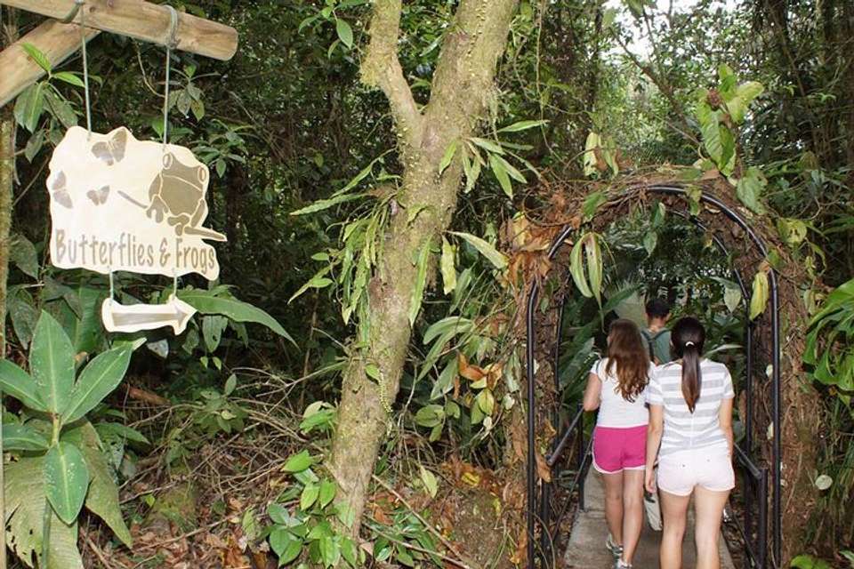 6 In 1 Rainforest Adventure From San Jose - Destination Services - Costa Rica - Image 6