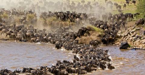 6n/7d Great Wildebeest Migration Trekking - 7 Days
