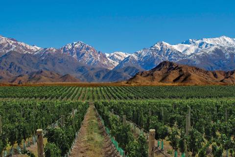 7-day Buenos Aires & Mendoza Experience - February 2027