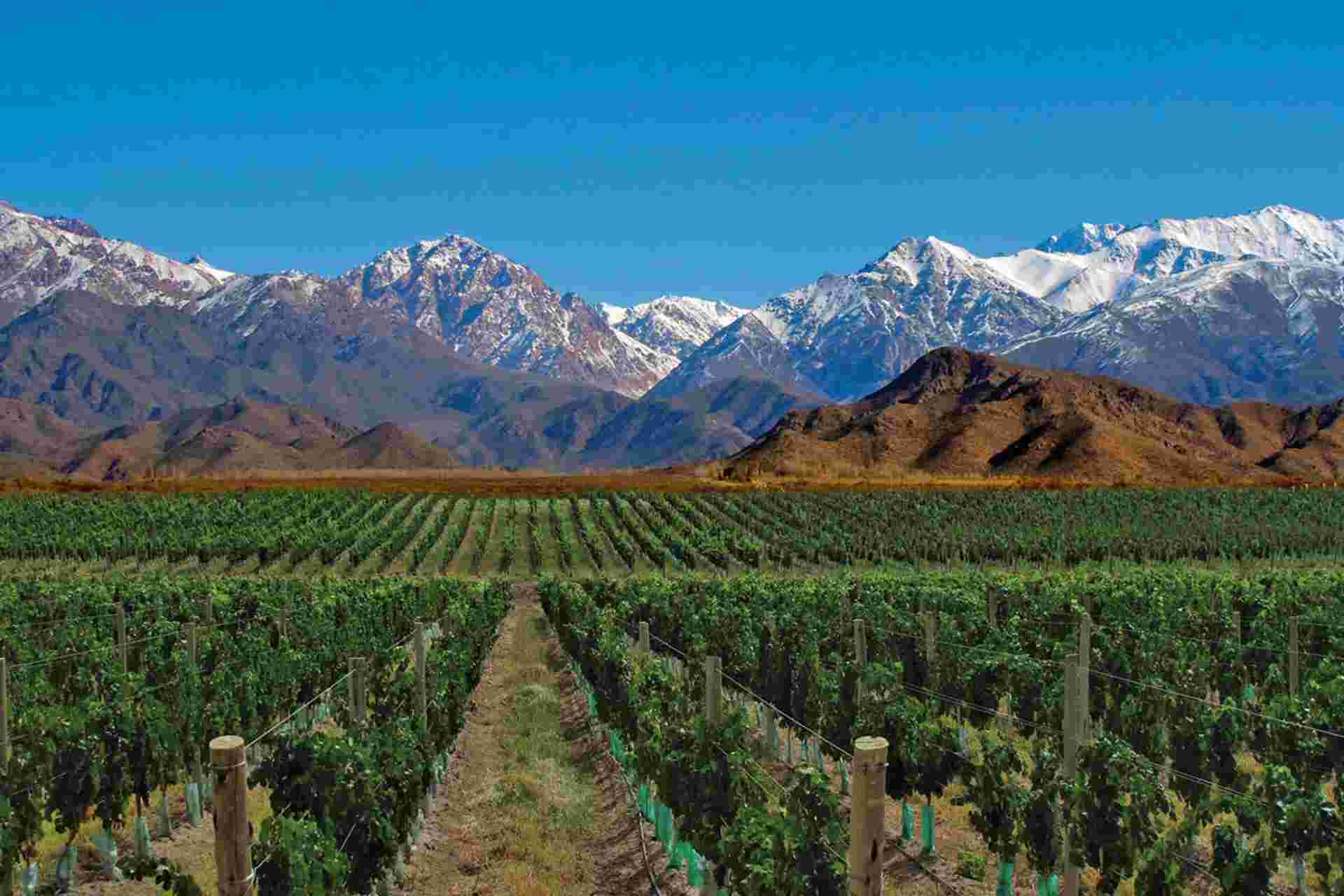 7-day Buenos Aires & Mendoza Experience, French-speaking Guide