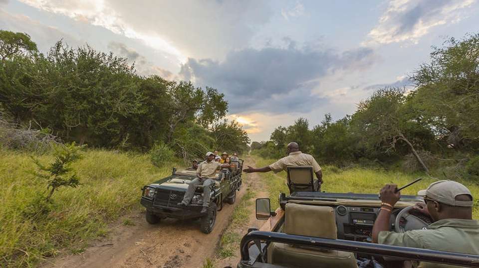 7 Day Cape Town & Safari Honeymoon - African Travel Gateway - South Africa - Image 7