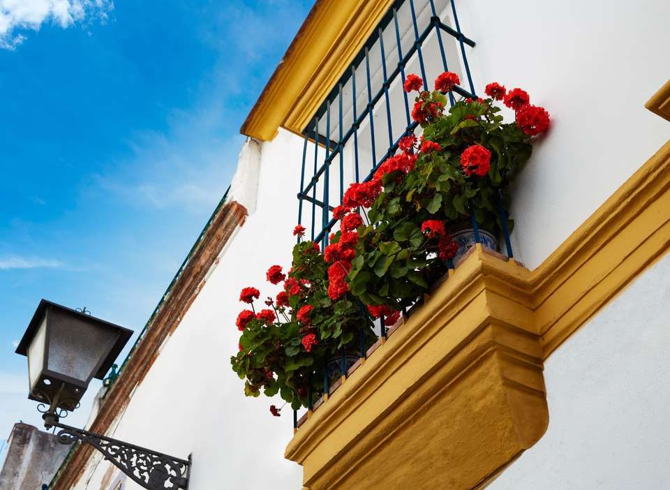 7-day Guided Tour In Andalusia, Valencia And Barcelona From Madrid (c170) - Vpt Tours - Spain - Image 23
