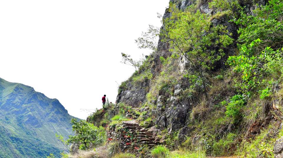 7-Day Inca Jungle Trail to Machu Picchu - Inkayni Peru Tours - Peru - Image 4