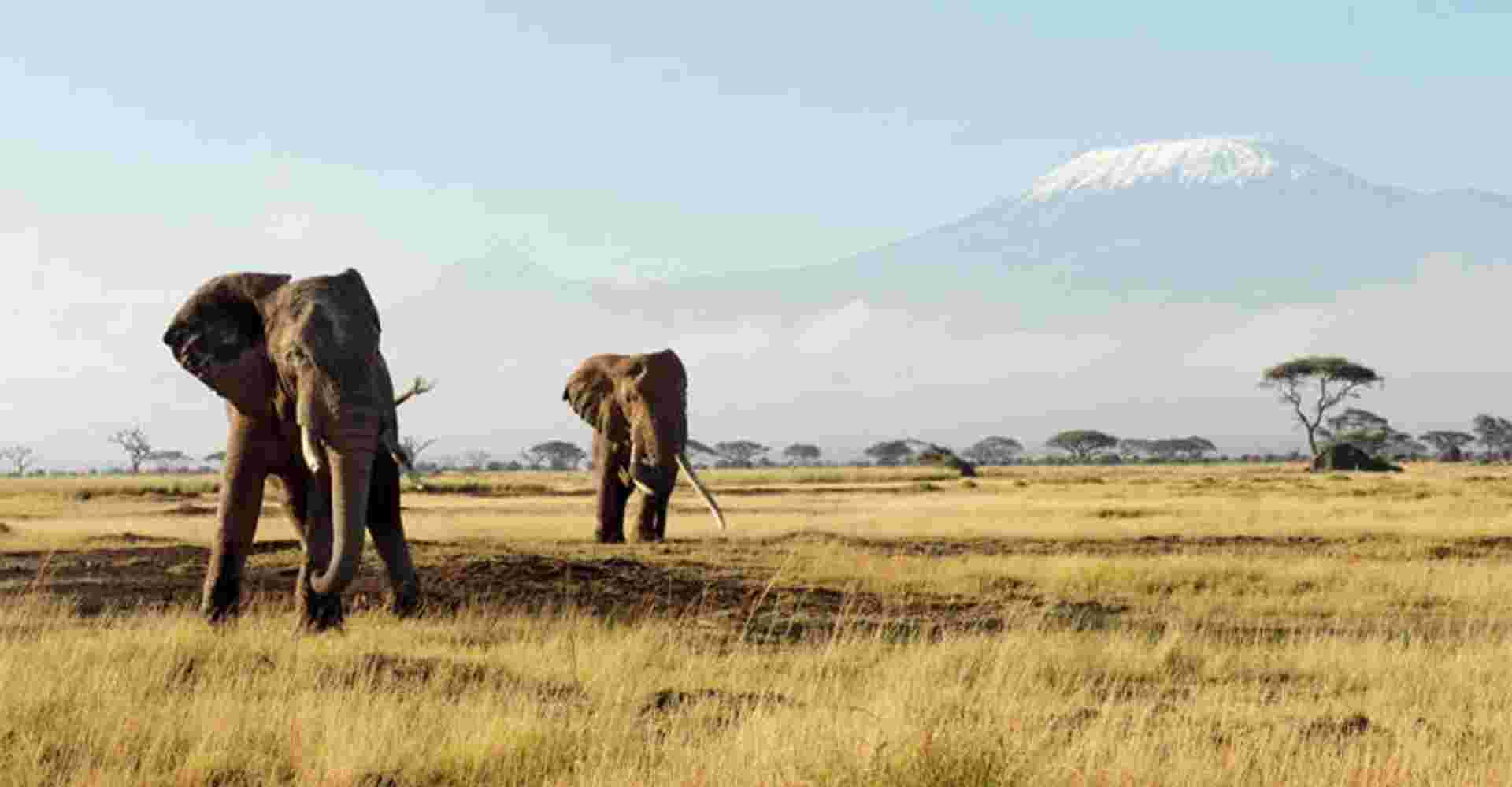 7-day Kenya Budget Safari 