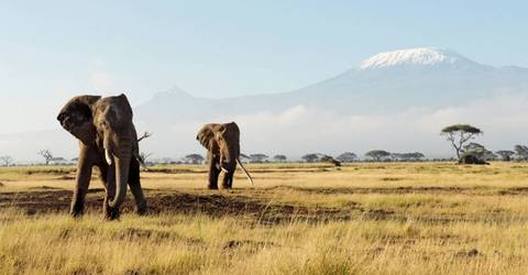 7-day Kenya Budget Safari - Winter Tours