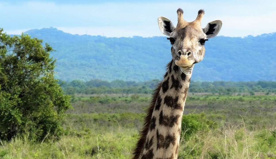 7-day Kruger to Victoria Falls Accommodated - Acacia Africa - South Africa - Image 5