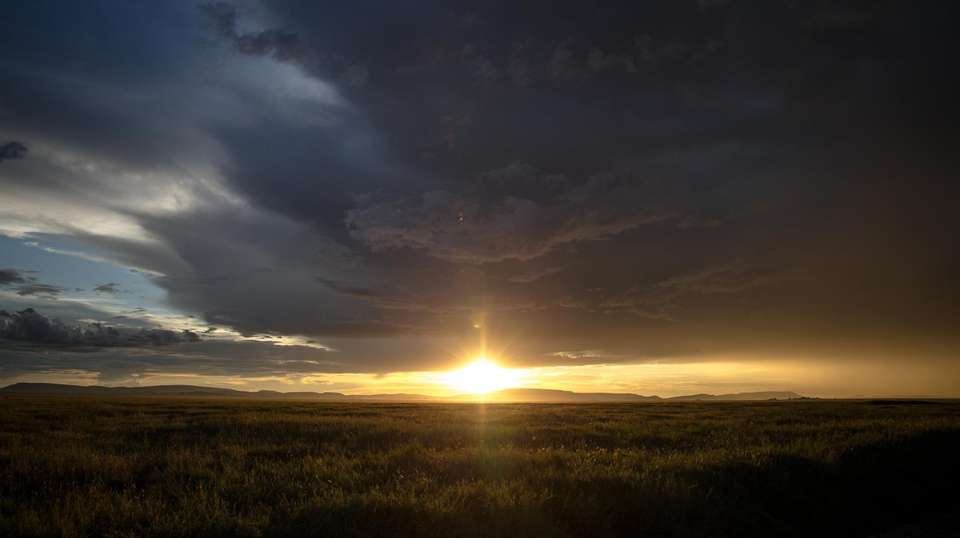 7-Day Migration Safari: Spending a Week in the Wild - Gosheni Safaris Africa - Tanzania - Image 5