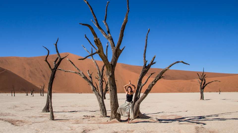 7 Day Taste of Namibia Lodge Safaris - Chameleon Safaris Namibia - Namibia - Image 7