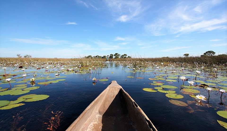 7-day Okavango Wilderness Trail Accommodated - undefined - Image 5