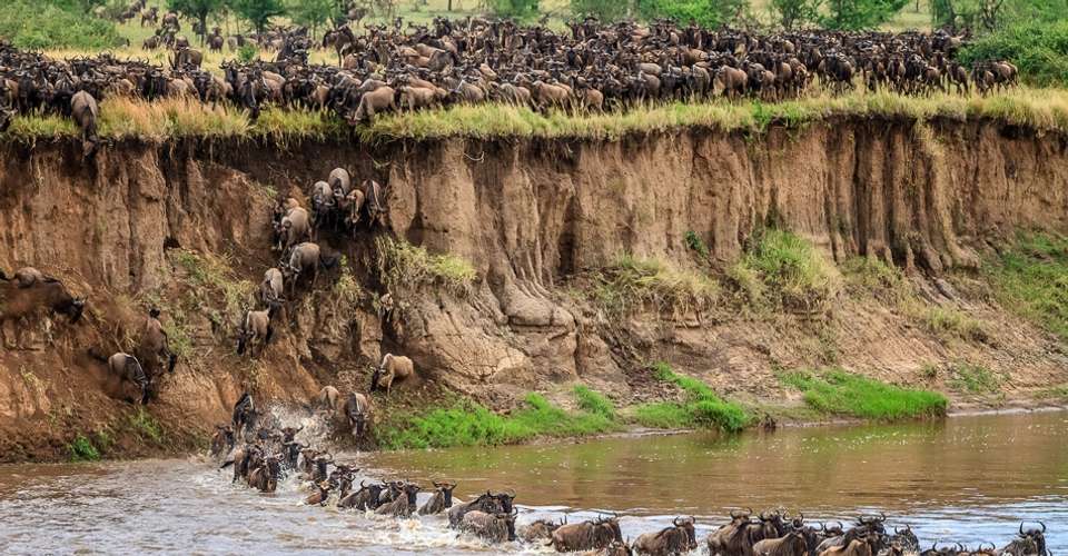 7-day Serengeti Great Migration Safari - Book Safari 2 Tanzania - Tanzania - Image 4