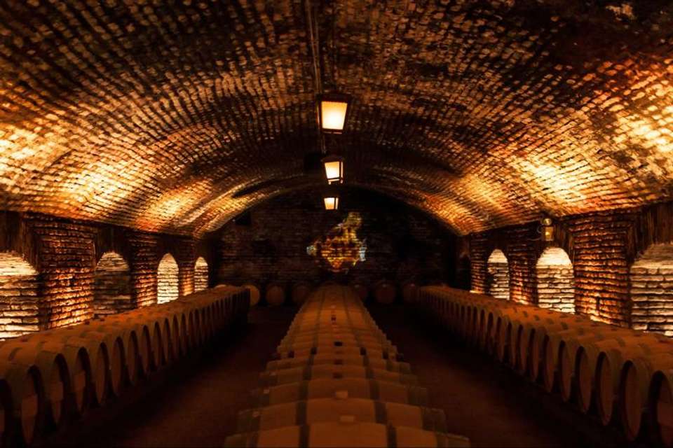 7-Day Trip Santiago and Easter Island - Tangol Tours - Chile - Image 3