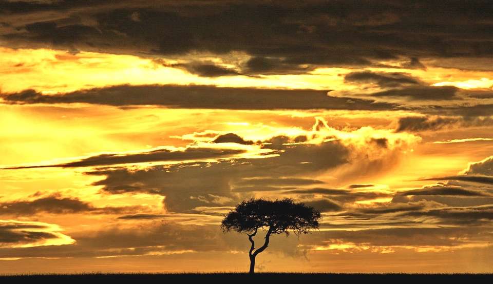 7-day Victoria Falls to Kruger Accommodated - Acacia Africa - Zambia - Image 5