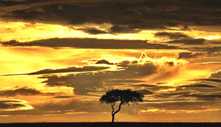 7-day Victoria Falls to Kruger Accommodated trip - alternative tour available