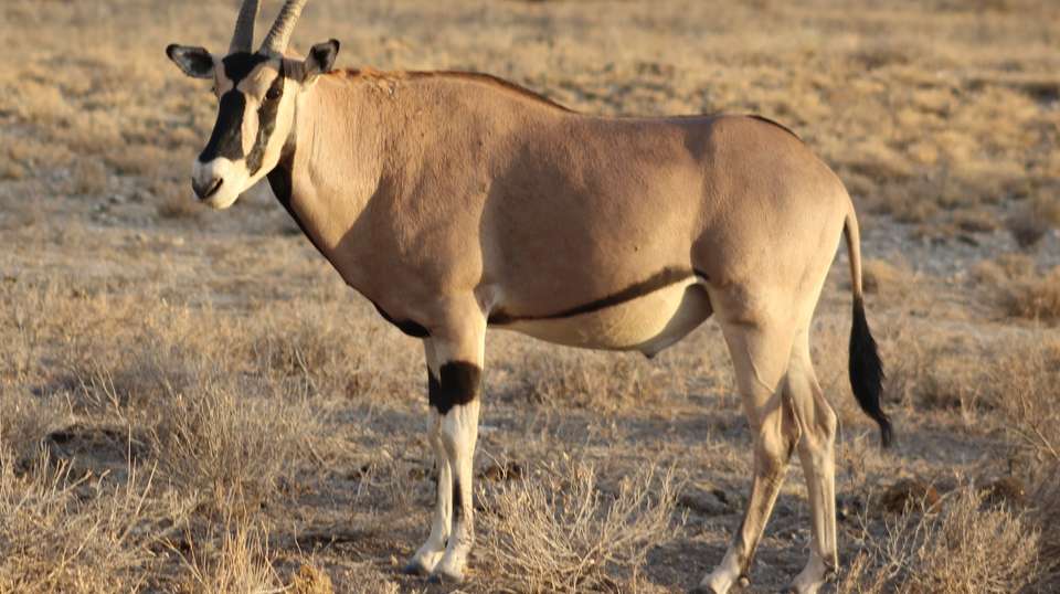 7 Days Adventure Holiday Package in Uganda - Primate World Safaris (u) Ltd - Uganda - Image 6