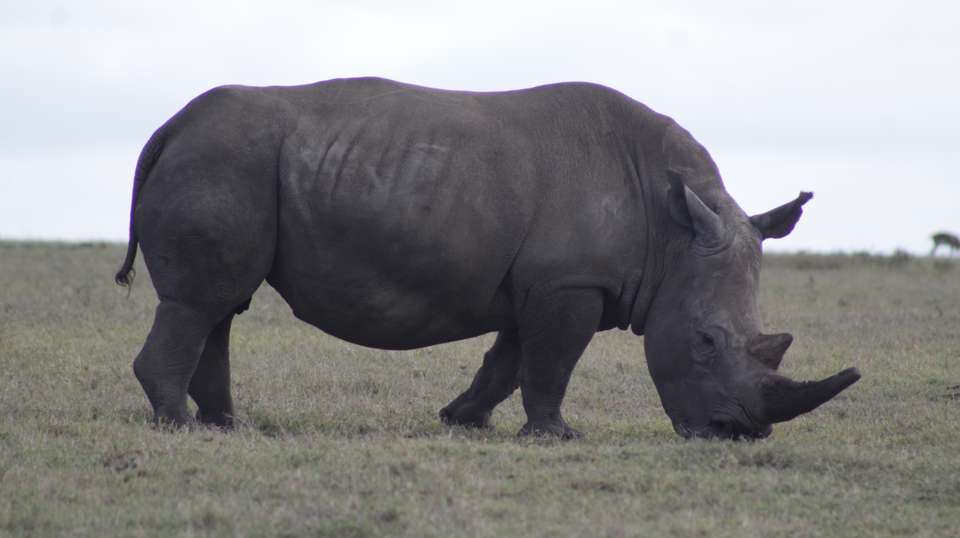 7 Days Adventure Holiday Package in Uganda - Primate World Safaris (u) Ltd - Uganda - Image 8