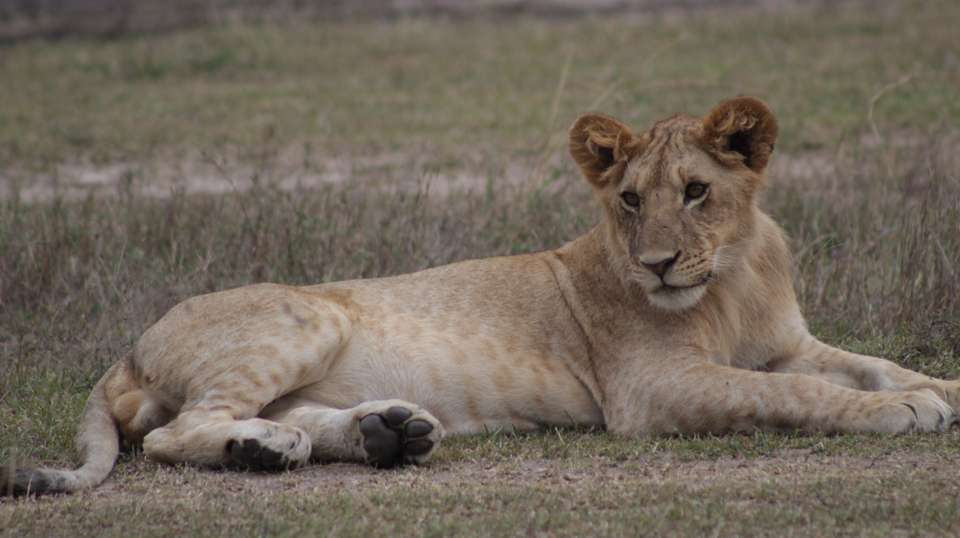 7 Days Adventure Holiday Package in Uganda - Primate World Safaris (u) Ltd - Uganda - Image 9