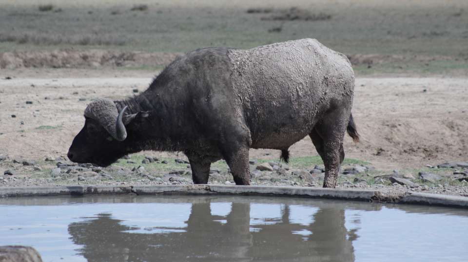 7 Days Adventure Holiday Package in Uganda - Primate World Safaris (u) Ltd - Uganda - Image 10