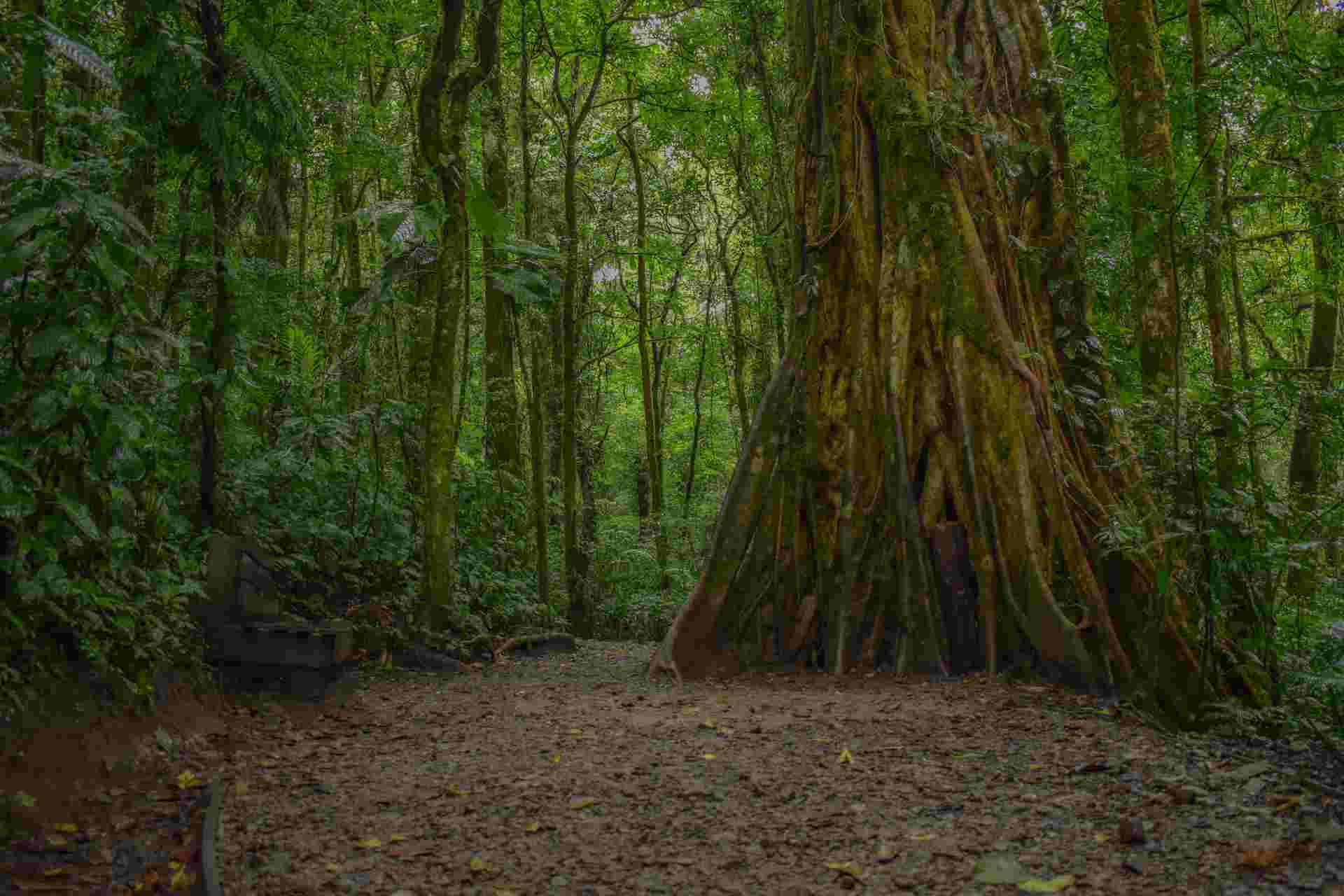 7 Days: Highlights of Costa Rica