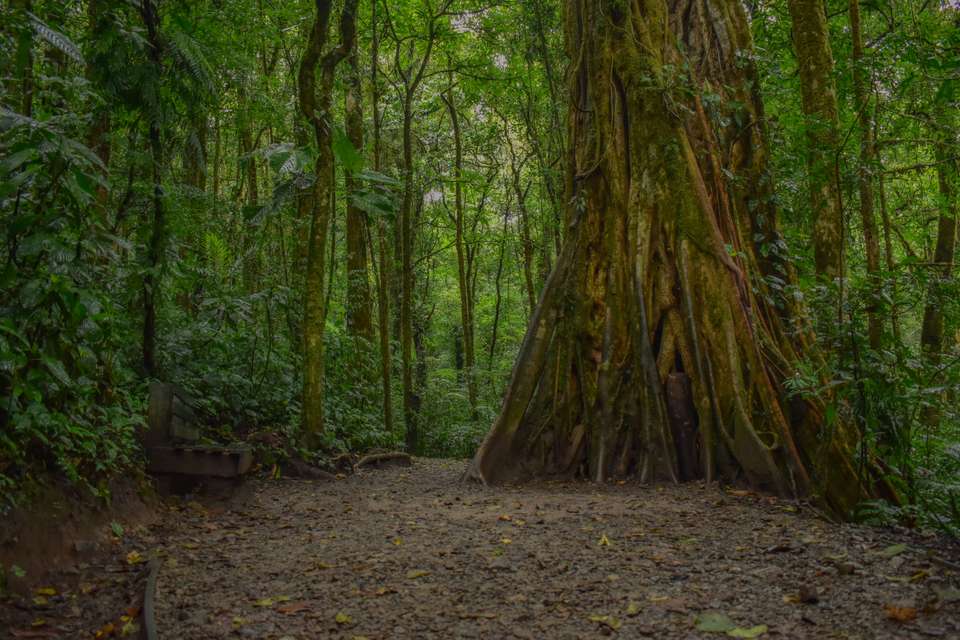 7 Days: Highlights of Costa Rica - Green World Adventures - Costa Rica - Image 1