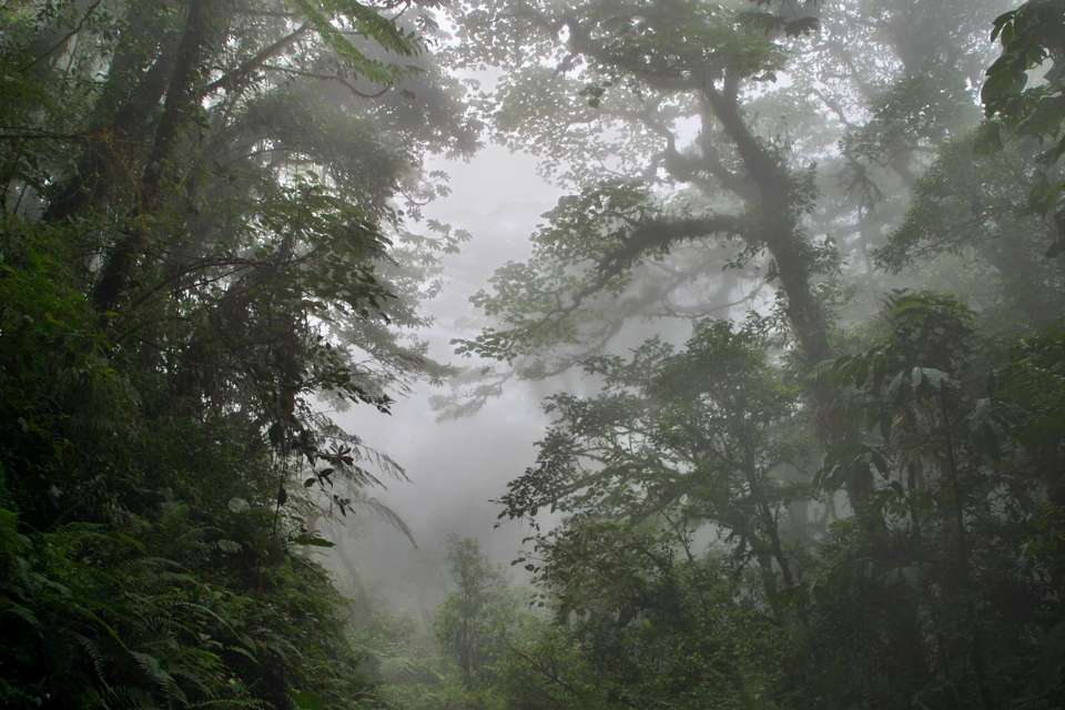 7 Days: Highlights of Costa Rica - Green World Adventures - Costa Rica - Image 4