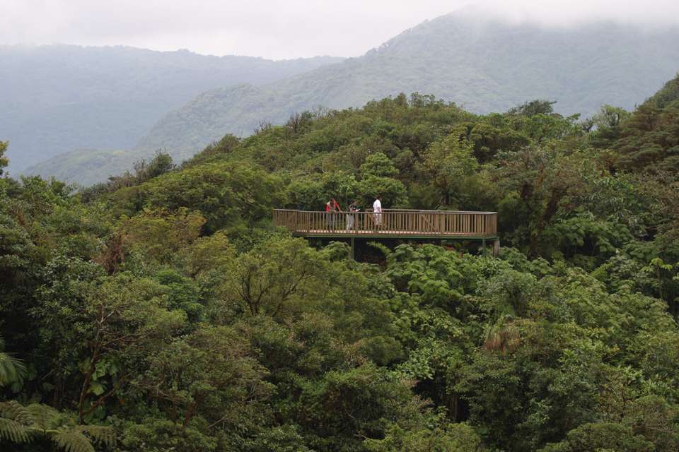 7 Days: Highlights of Costa Rica - Green World Adventures - Costa Rica - Image 5