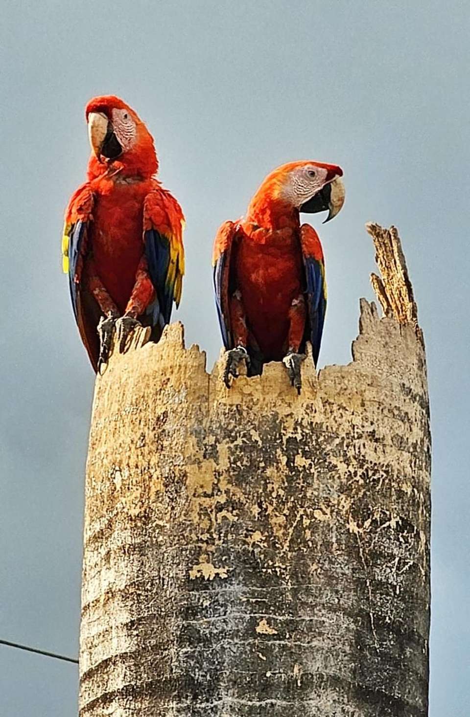 7 Days: Highlights of Costa Rica - Green World Adventures - Costa Rica - Image 7