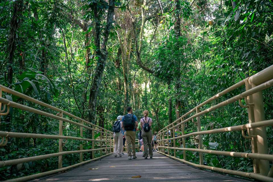 7 Days: Highlights of Costa Rica - Green World Adventures - Costa Rica - Image 11