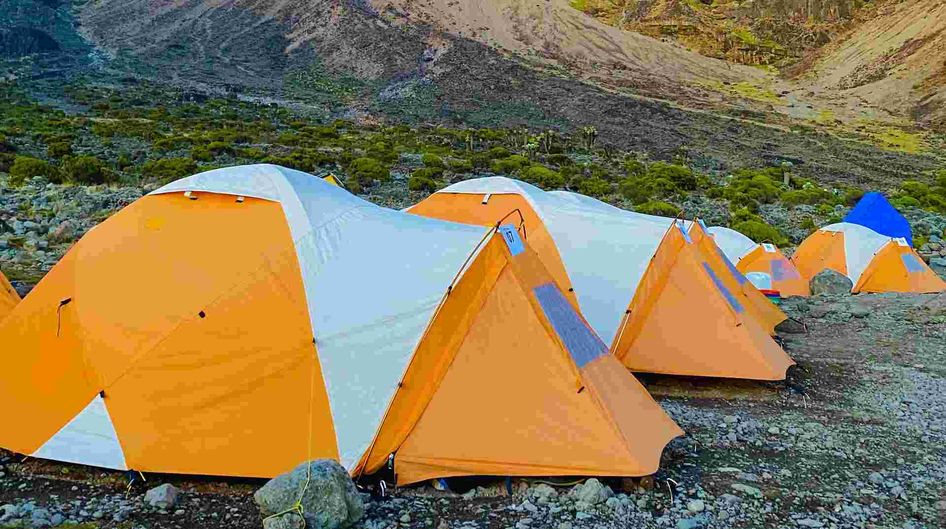 Summit Kilimanjaro via Machame Route: 7 Days
