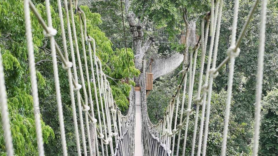 7 days Ghana Safari Tour - Tripafrica Tours - Ghana - Image 2