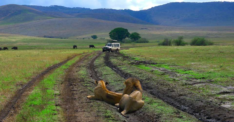 7N/8D Safari Bush to Zanzibar Beach Combo - Across Africa Nature - Tanzania - Image 2