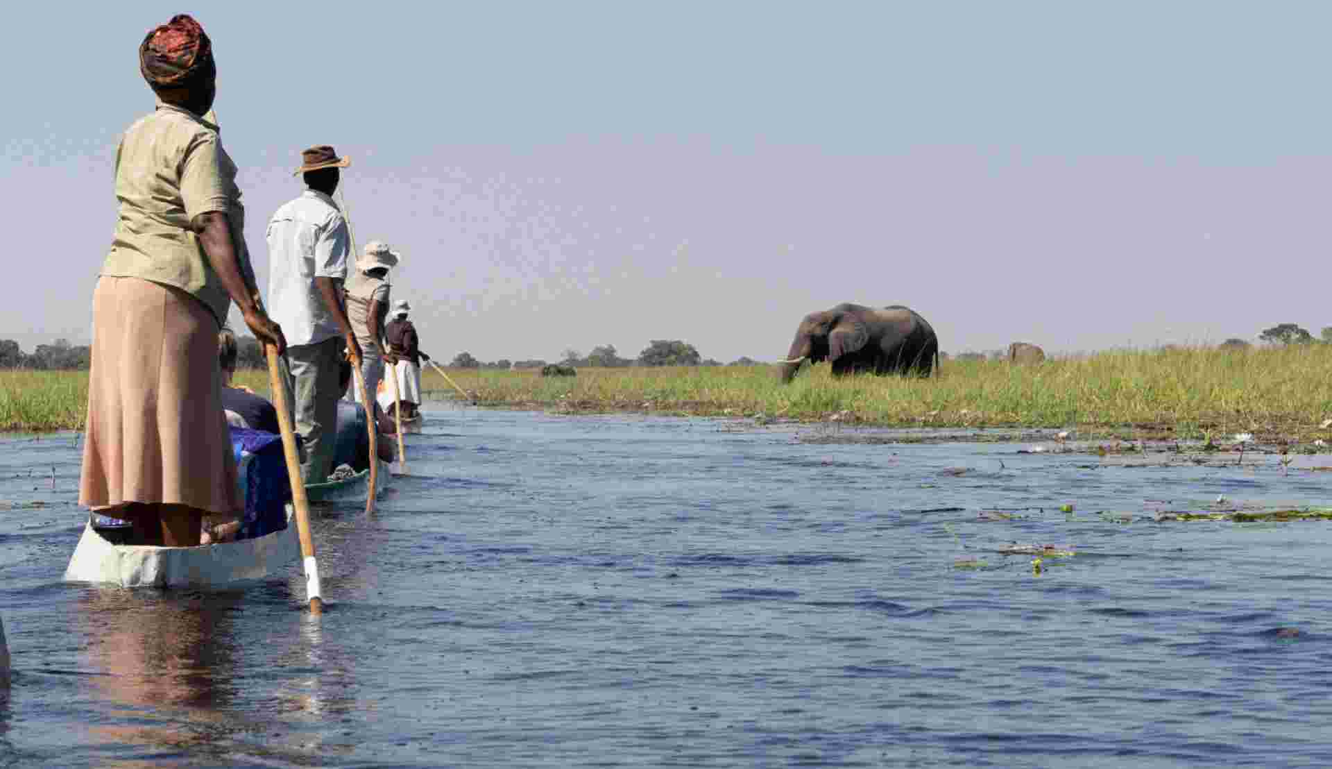 8-day Chobe Okavango Delta Express Camping