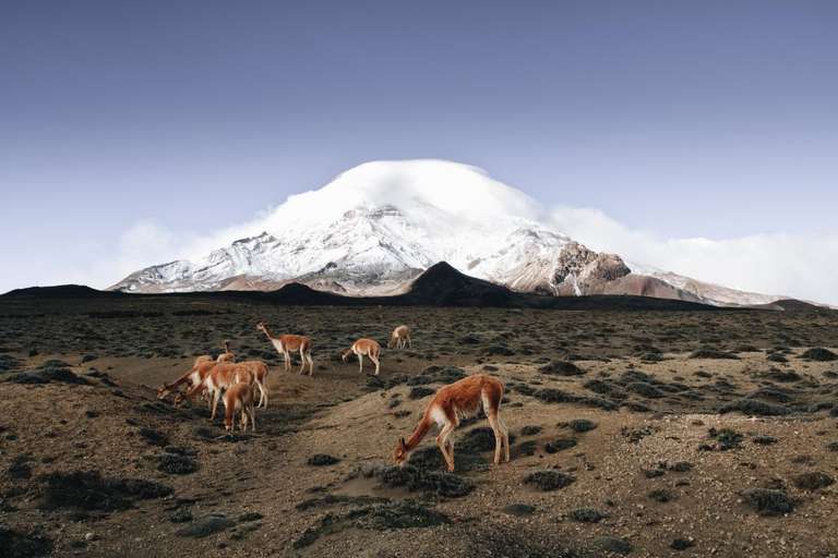 Ecuador Art and architecture Tour: 8-day Ecuadorian Andes & Coastal Escape: Cotopaxi, Quilotoa, Baños, Chimborazo, Ingapirca & Guayaquil, Private Tour, French-speaking Guide