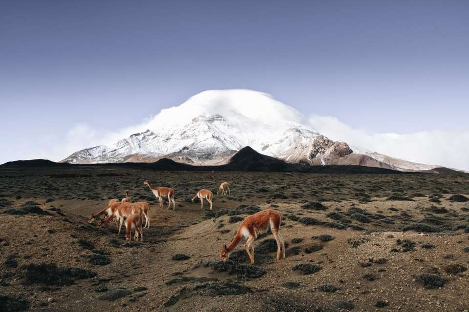 8-day Ecuadorian Andes & Coastal Escape: Cotopaxi, Quilotoa, Baños, Chimborazo, Ingapirca & Guayaquil, Private Tour, French-speaking Guide - Destination Services - Ecuador - Image 1