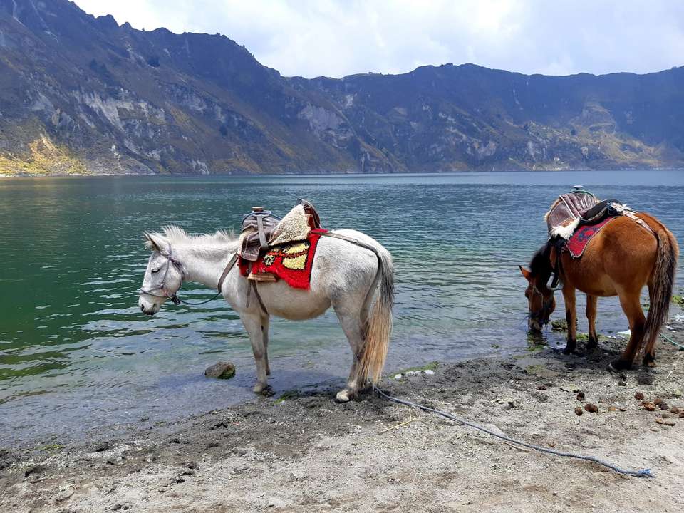 8-day Mainland Ecuador: Quito, Cotopaxi, Quilotoa, Cuenca & Guayaquil, Private Tour, French-speaking Guide - Destination Services - Ecuador - Image 9
