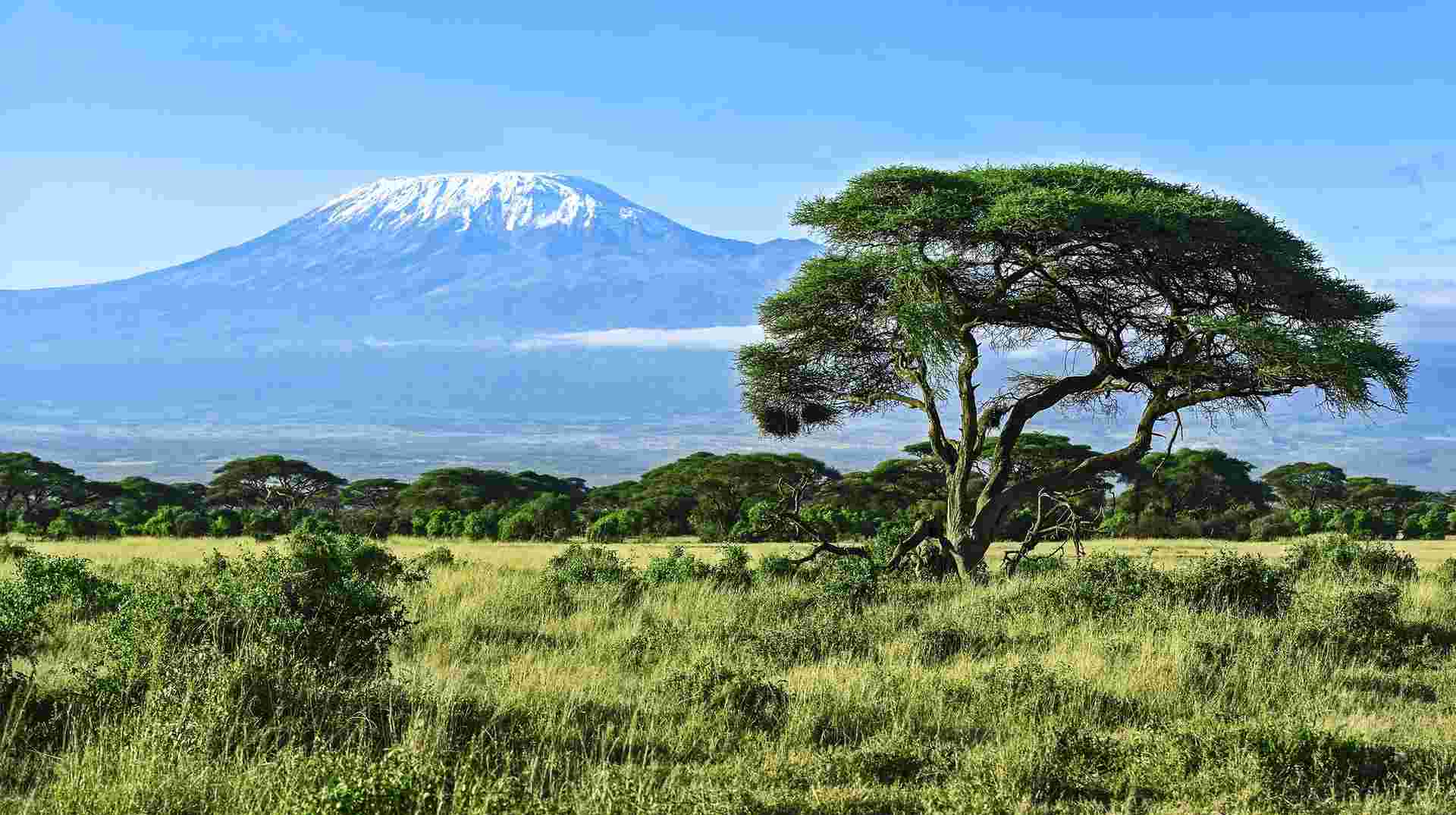8-Day Mt Kilimanjaro Summit Climb (Machame Route)