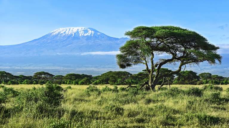 8-Day Mt Kilimanjaro Summit Climb (Machame Route) trip - alternative tour available