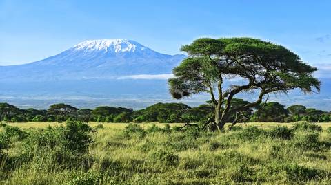8-day Mt Kilimanjaro Summit Climb (machame Route) - November 2026