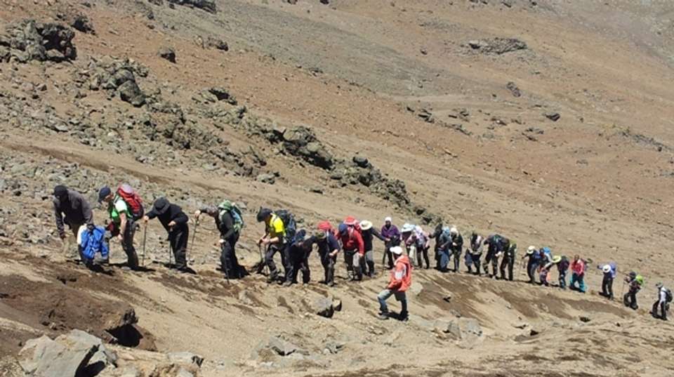 8 Day Mt. Kilimanjaro Trek (Rongai Route) - Hope Adventures Safaris - Tanzania - Image 1