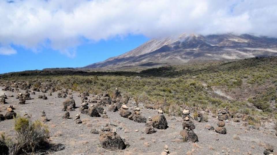 8 Day Mt. Kilimanjaro Trek (Rongai Route) - Hope Adventures Safaris - Tanzania - Image 2