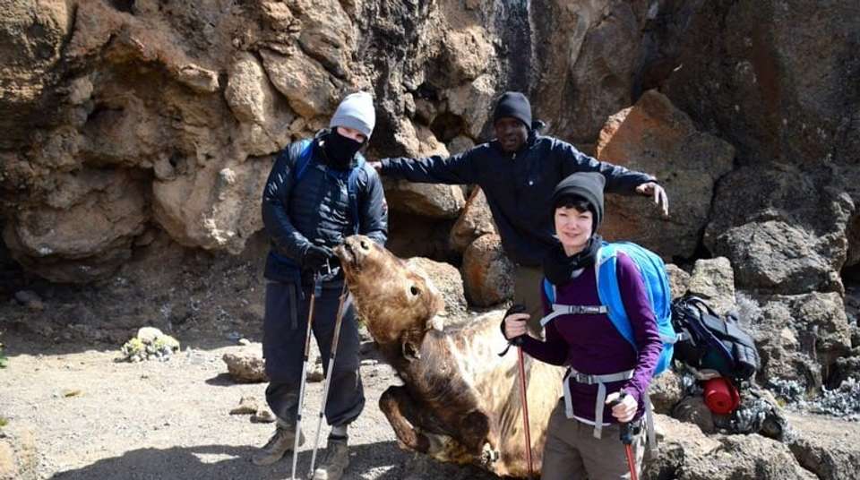 8 Day Mt. Kilimanjaro Trek (Rongai Route) - Hope Adventures Safaris - Tanzania - Image 4