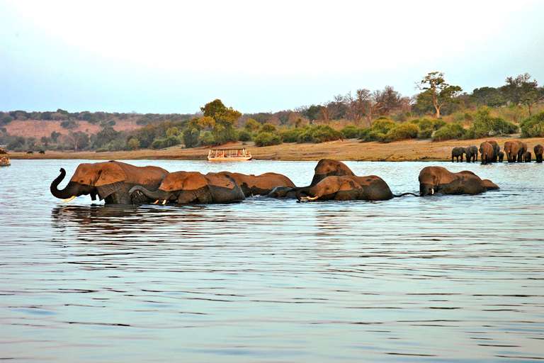 8-day Okavango Delta  Chobe Express Camping trip - alternative tour available