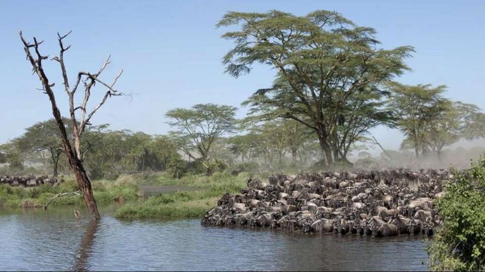 8-Day Tanzania Safari - Dahlia Africa - Tanzania - Image 2