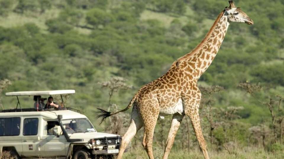 8-Day Tanzania Safari - Dahlia Africa - Tanzania - Image 4