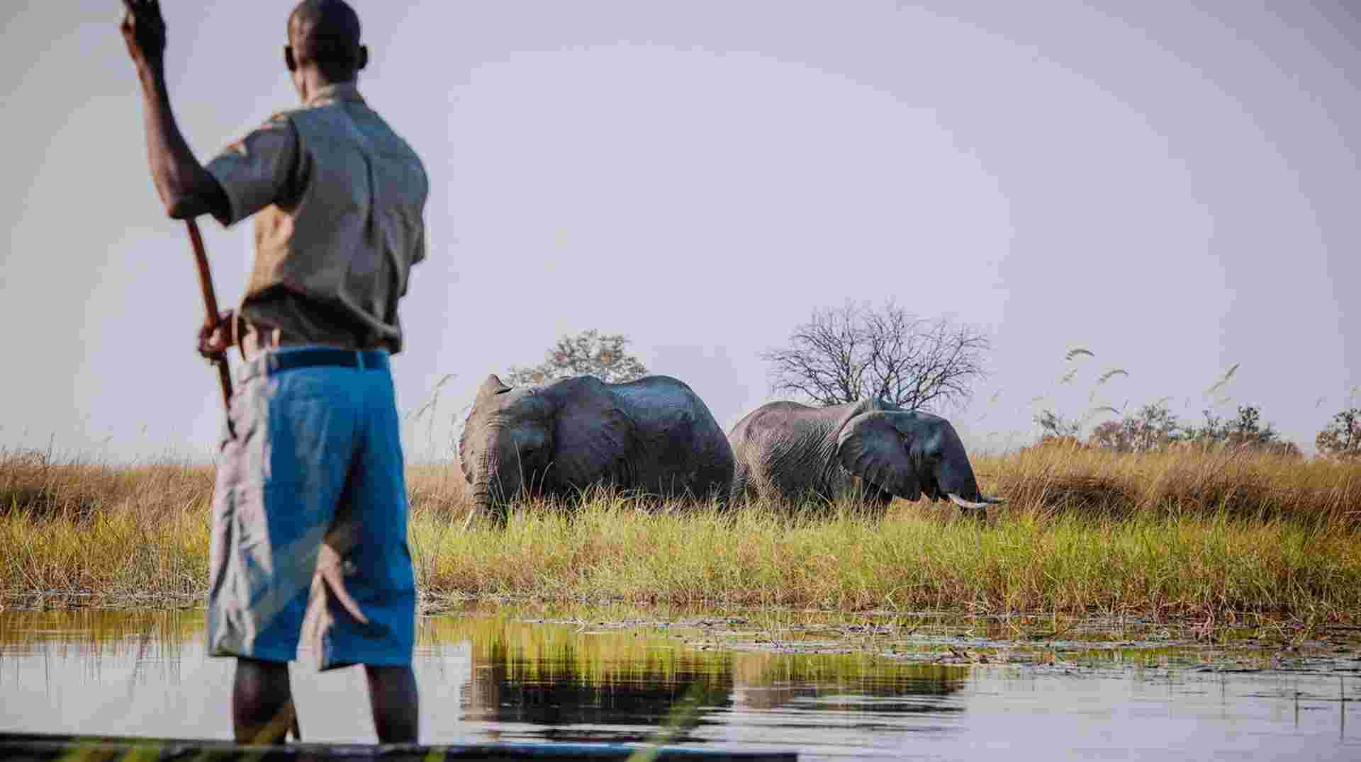 Victoria Falls & Okavango Delta: 8 Days