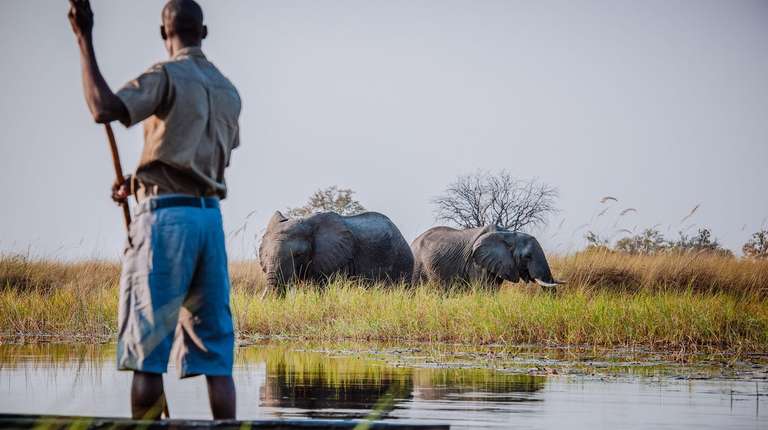 Victoria Falls & Okavango Delta: 8 Days - Spring tours