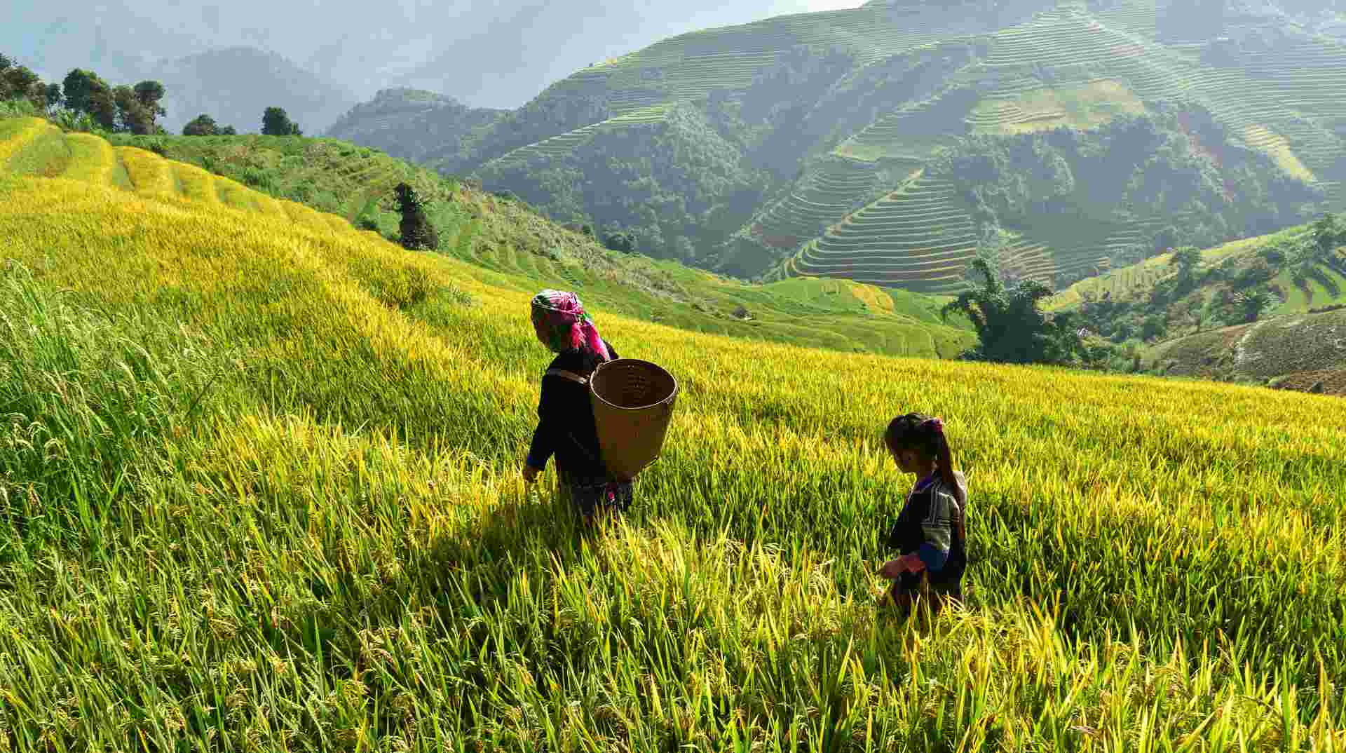 8-Day Vietnam's Mountains and Seaside Melody Expedition 